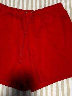 Nike Shorts Large Men’s Mesh Athletic Shorts